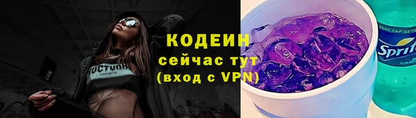 мдпв Дмитриев
