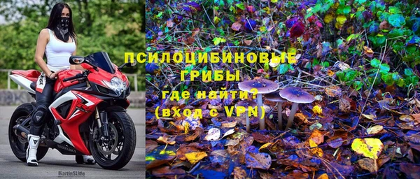 дживик Дмитров