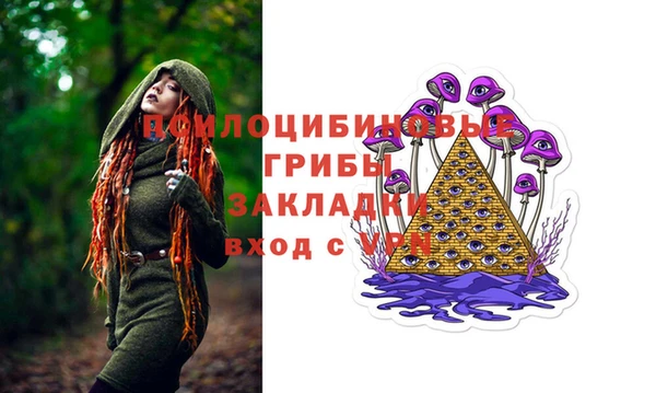 apvp Дмитровск