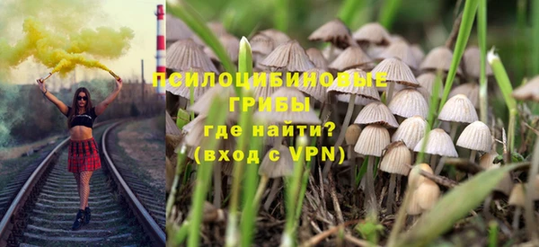 дживик Дмитров