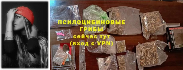 мдпв Дмитриев