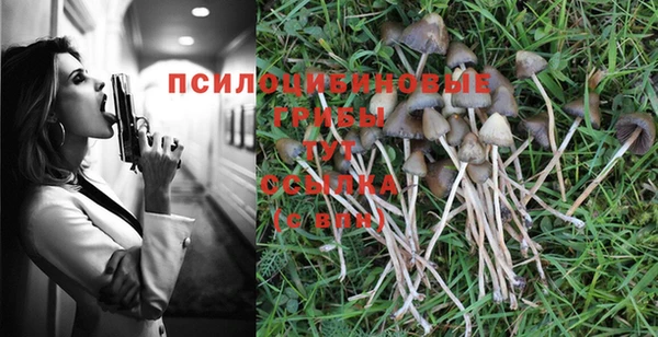 прущая мука Гусиноозёрск