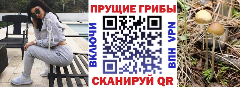 Галлюциногенные грибы GOLDEN TEACHER Купить закладки Зуевка